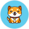 babydoge
